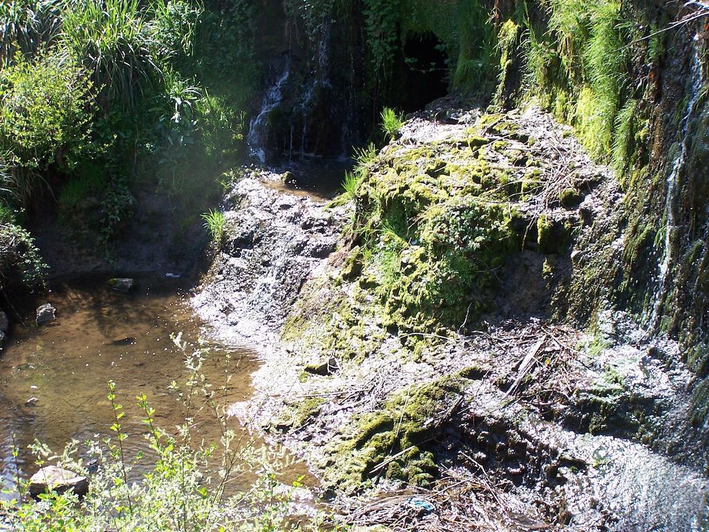Restaurant Les Gorges De L'aveyron Hotel 3*